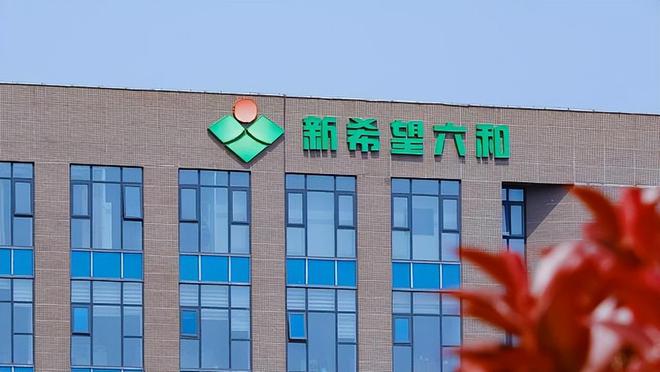 5大方向连跌1年业绩有望大增迎来炒作EVO真人平台每年1月必炒业绩报这(图1)