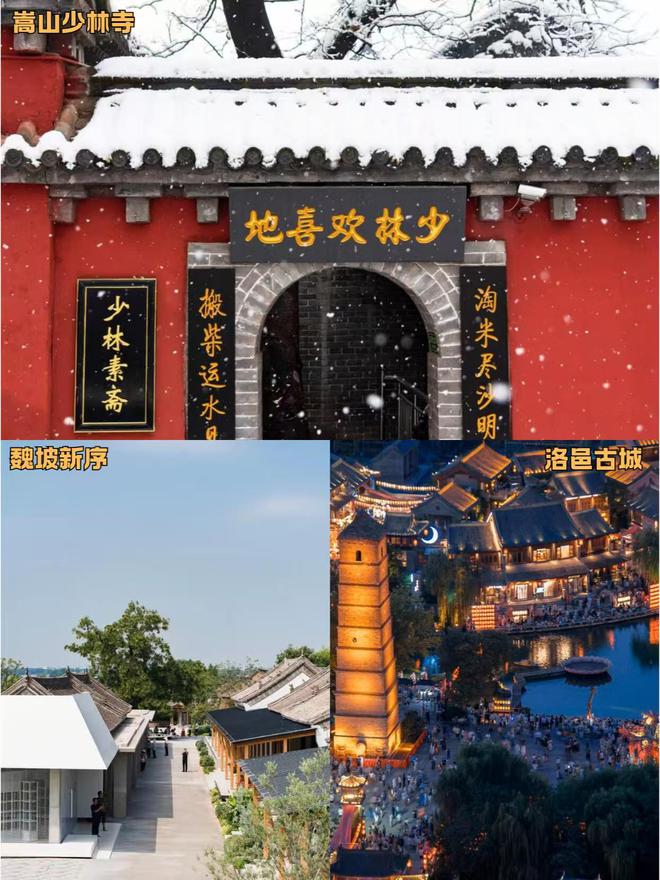 日游费用洛阳5天出行具体行程规划EVO视讯平台河南土著推荐跟团五(图1)